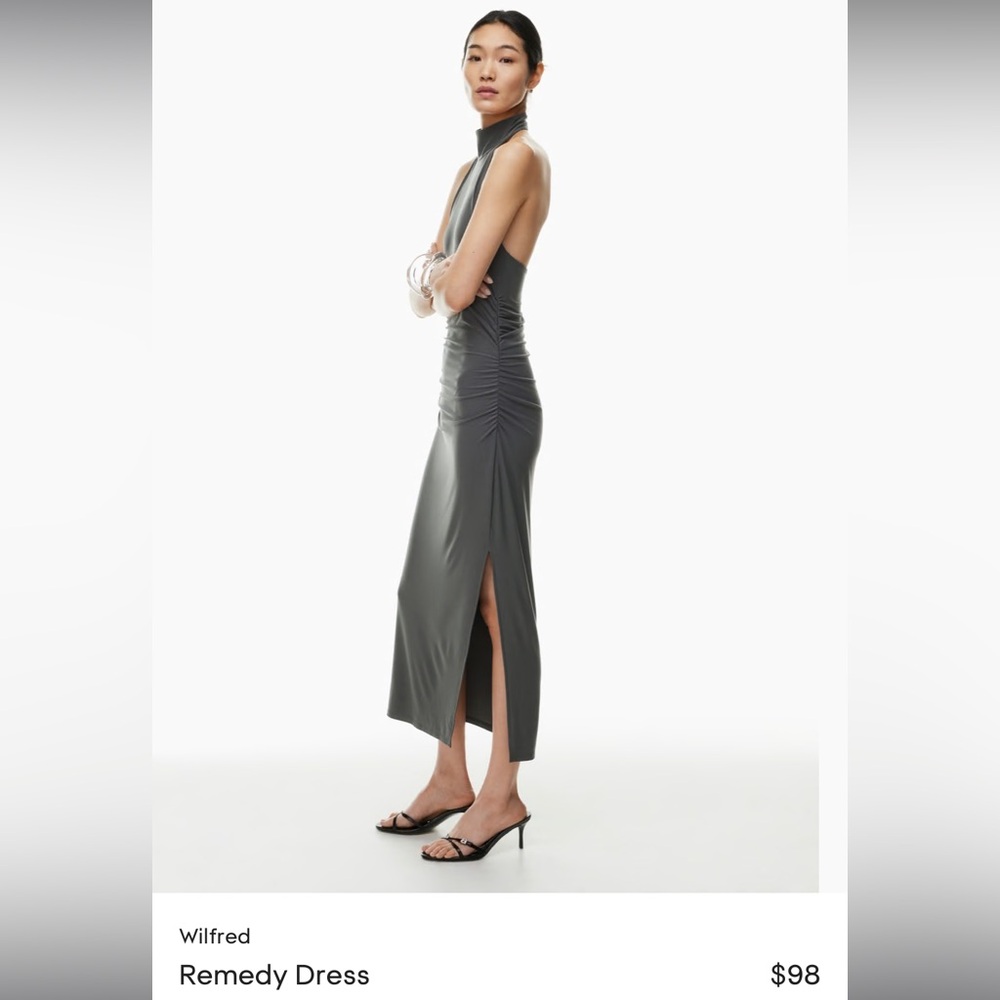 Aritzia Wilfred Remedy Dress BNWT
